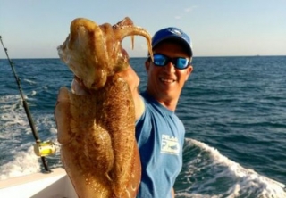 Mostrando un pulpo